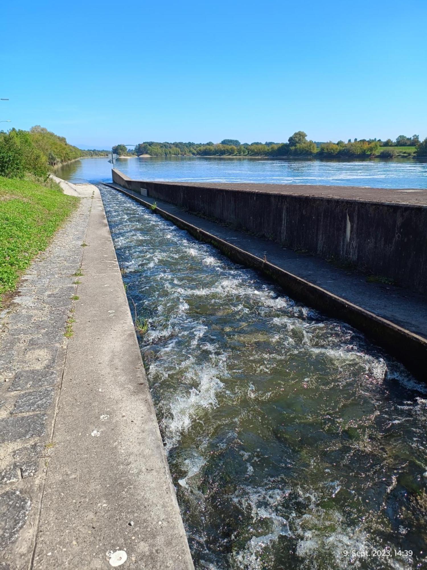 G.A.D.D Ferienwohnung/Glueck An Der Donau Straubing Kültér fotó